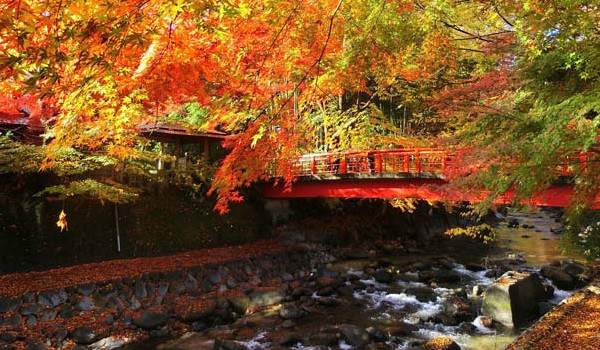 四季の風景