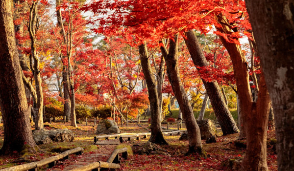 秋の景色