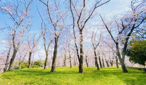 春の景色